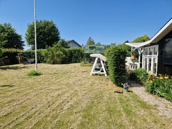 Tjørnehæk klipning og bortskaffelse