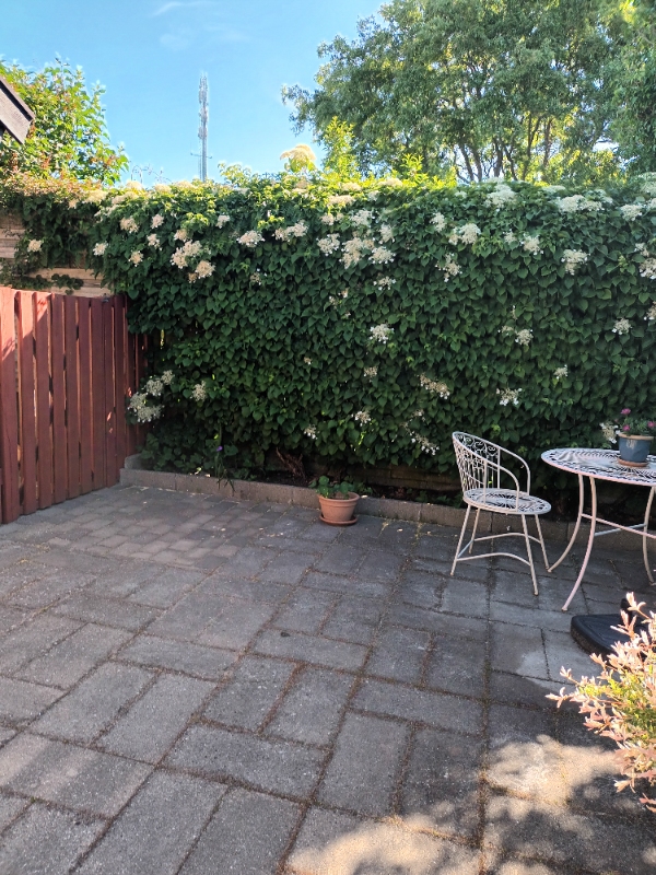 Hækklipning og ukrudtsfjernelse