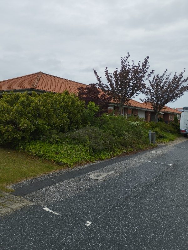 Fjernelse og anlægning af bed