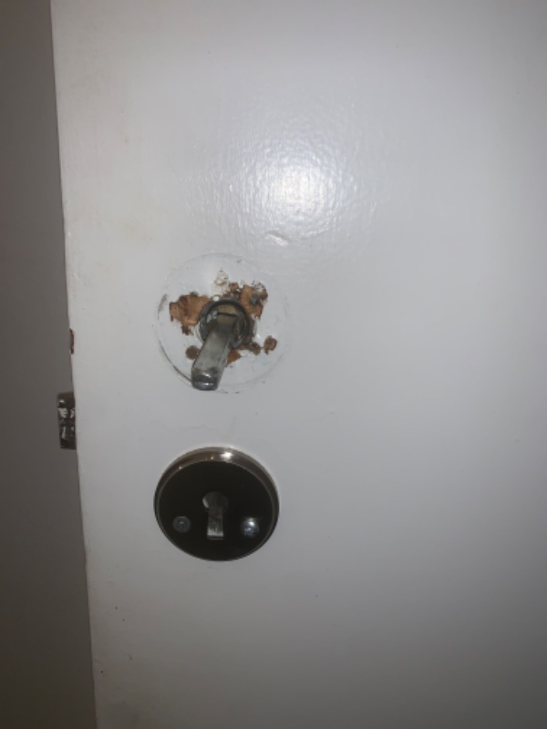 Dør der binder og udskiftning eller reparation af mørnet dør