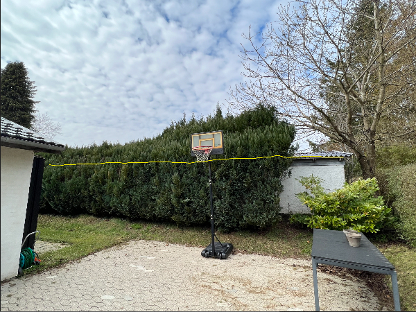 Kraftig topbeskæring af ca. 15m thuja hæk samt tynding af sider og bortskaffelse af afklip