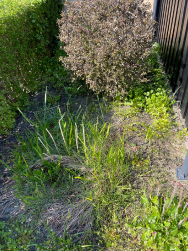 Gjort alle bede rene for ukrudt