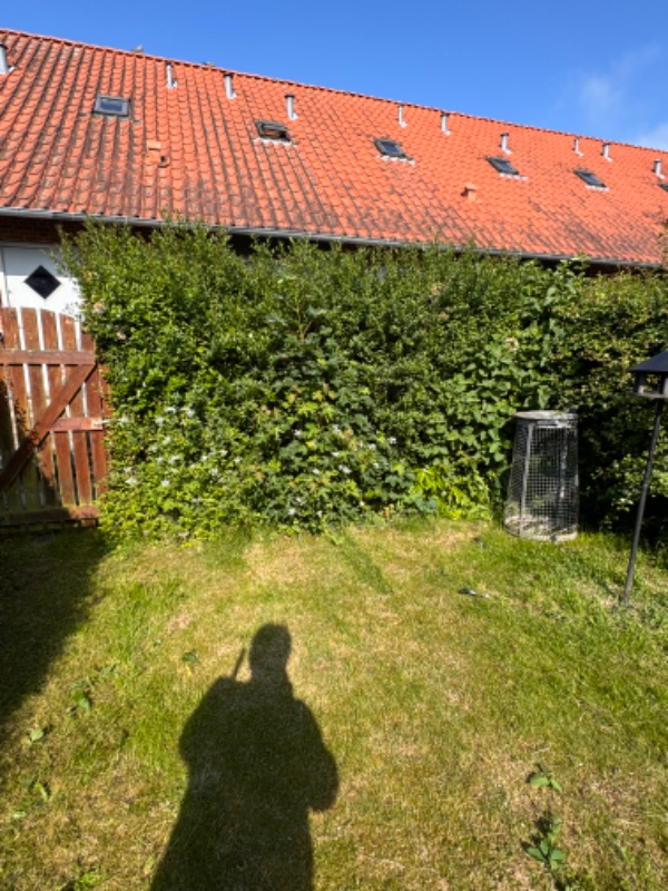 Hækklipning og ukrudtsfjernelse