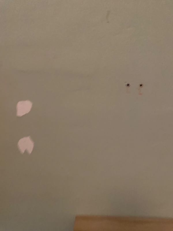 Nedtage hylder, spartle og male høj væg