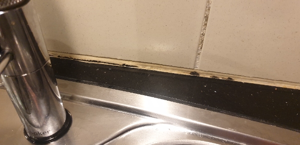 udskiftning af fuger