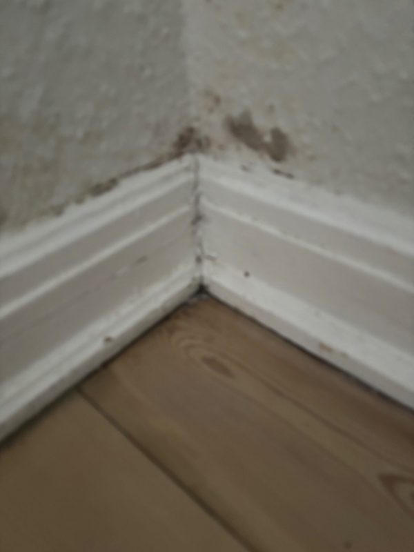 Rengøring af tom lejlighed 65 m2