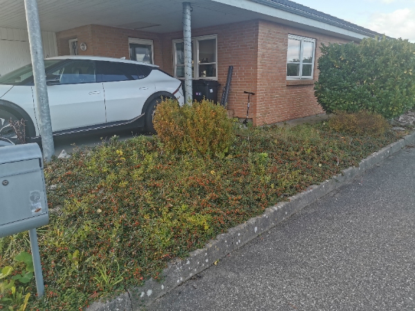 Vi skal have fjernet ukrudt i forhaven og spredt flis ud.