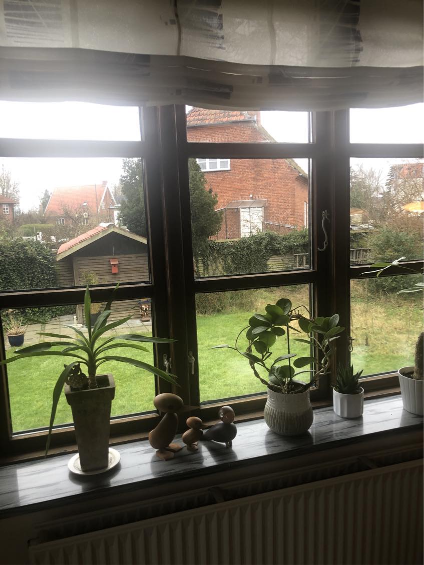 Demontering af gamle tætningslister og montering af nye tætningslister på vinduer og døre