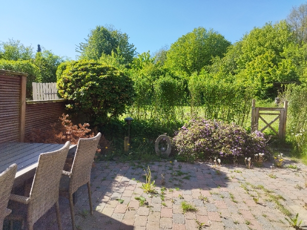 Ukrudtsfjerning og juletræsafhentning