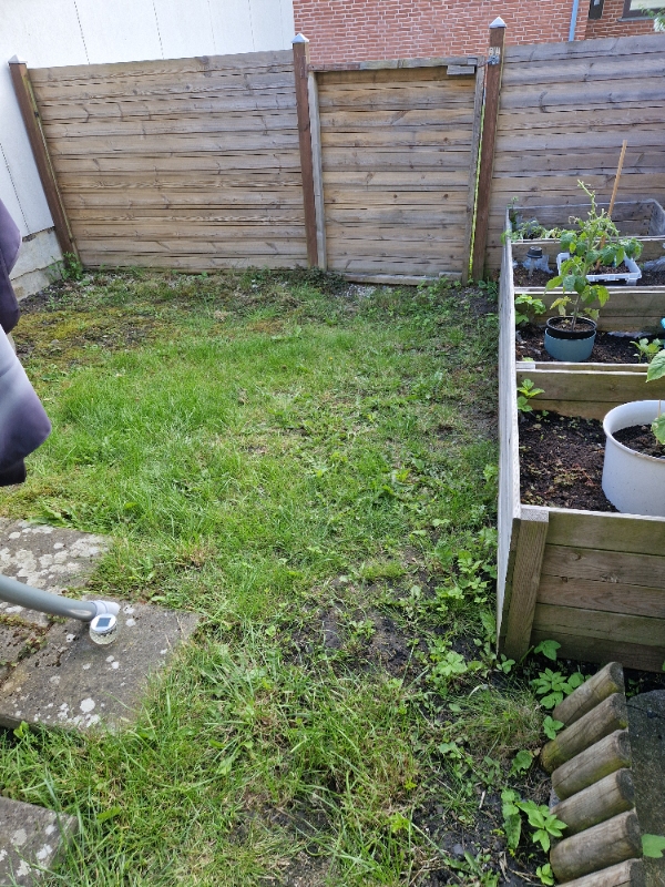 Havearbejde: tømning, ukrudtsfjernelse, græspleje