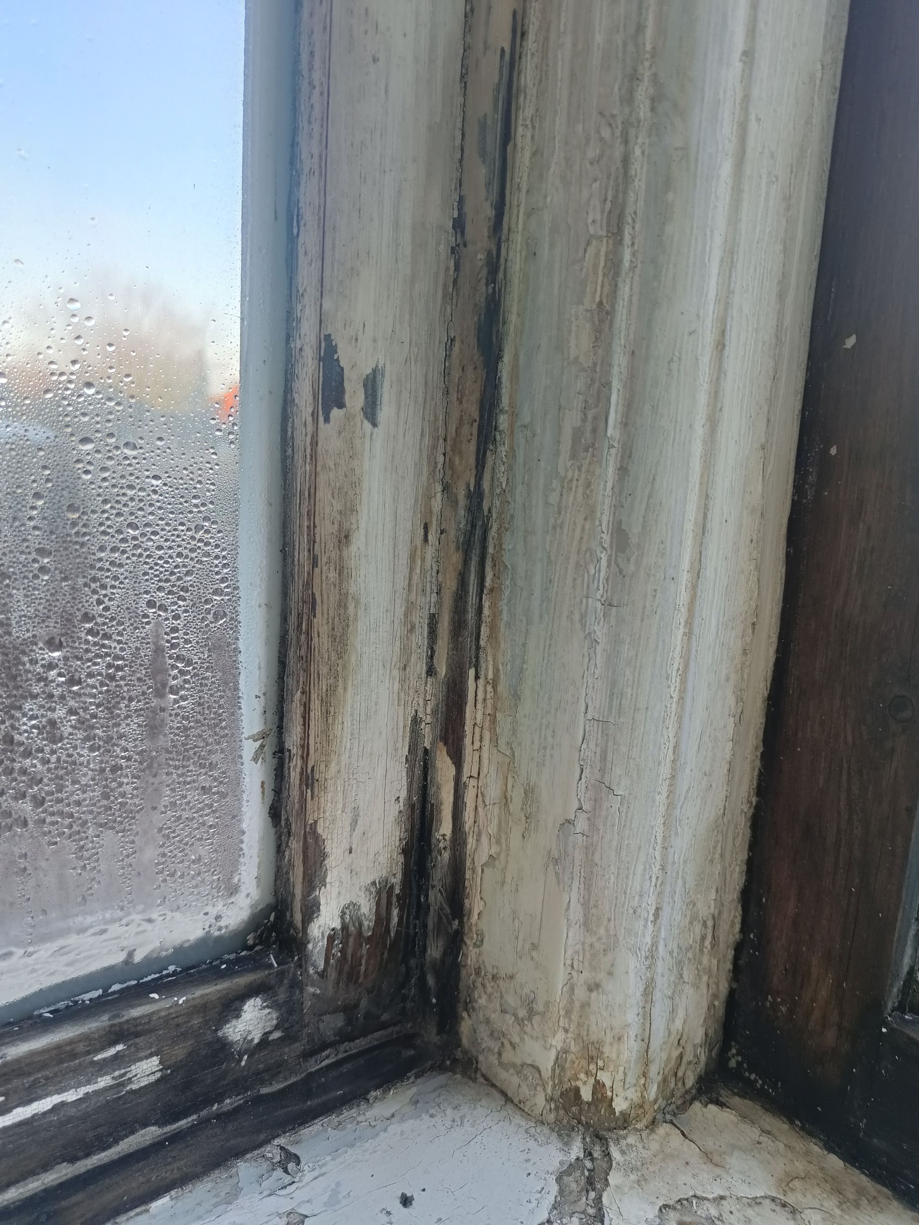 Skift af vindueskarme og 2 vinduer