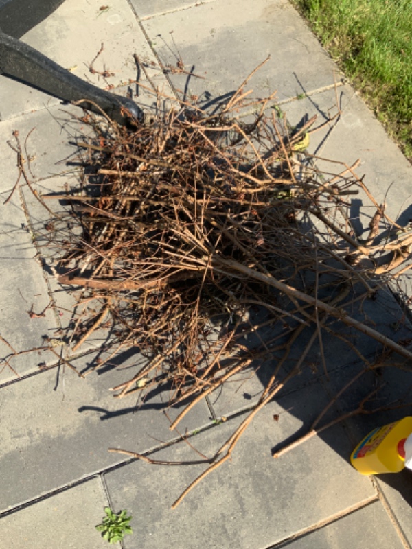 Bortskaffelse af haveaffald