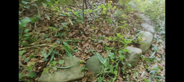 Haveoprydning en dag