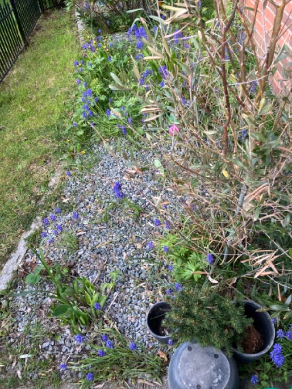 Rydning og beplantning af bed