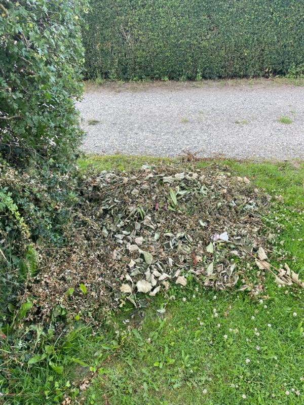 Fjernelse af hæk-afklip