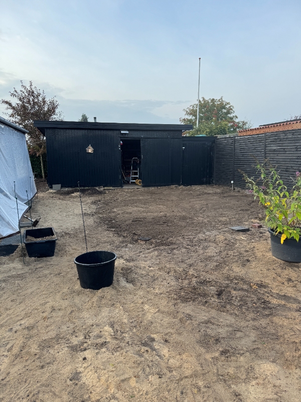 anlæg af græsplæne