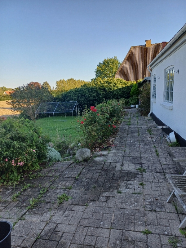 Ukrudt og græsslåning