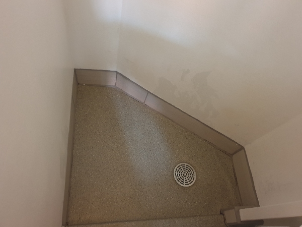 Fjernelse af skimmelsvamp/ behandling af fugtskade mm.