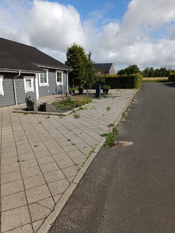 Fjerne ukrudt i stenbed, fliser og vejkant