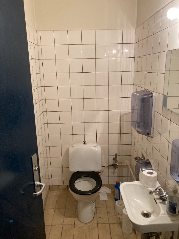 Grundig rengøring af toilet / toiletrum.