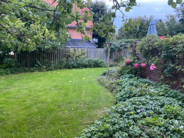 Ukrudtsbekæmpelse