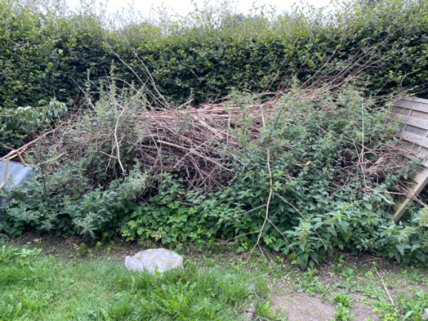 Bortskaffelse af haveaffald