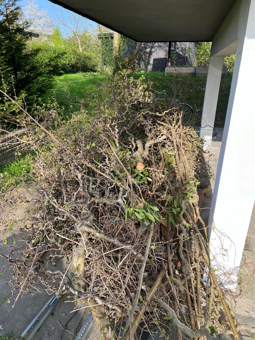 Kør haveaffald og profilbrædder på genbrugspladsen