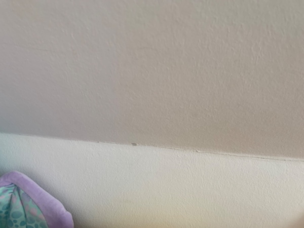 Maling + repererer huller og revner i væg