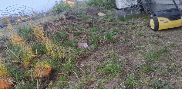 Bortskaffelse af jord