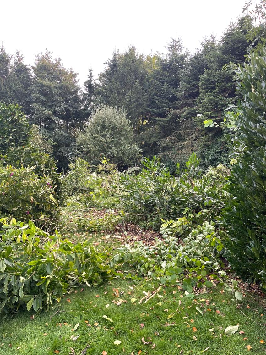 Kørt på genbrug med have affald