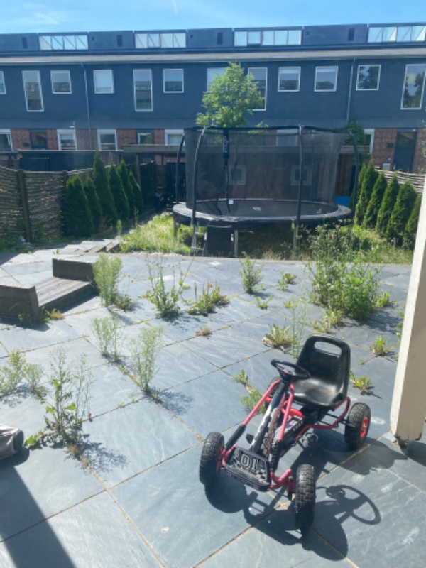 Fjerne ukrudt fra lille have/rækkehus.