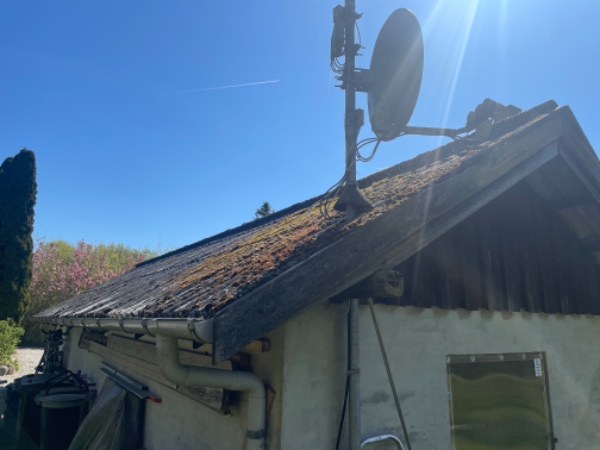 Bortskaffelse af ca 40 gamle eternitplader