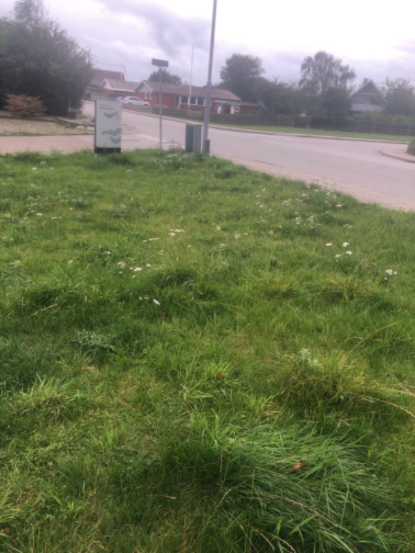 Klippet en græsplane