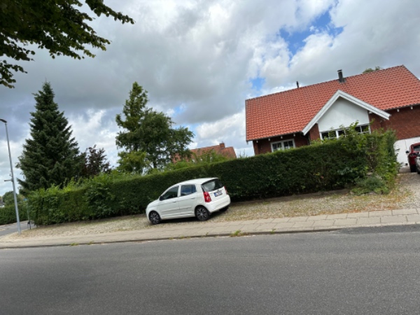 Klipning af blandede hække.