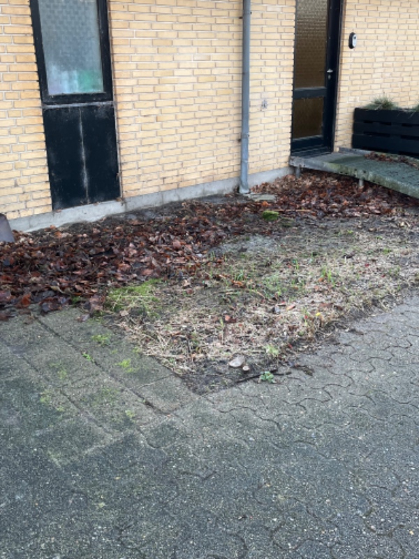 Køre grene, brosten, plade og blade på genbrugspladsen