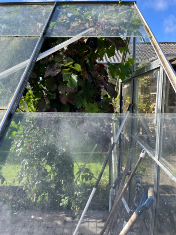 Nye glas i et drivhus