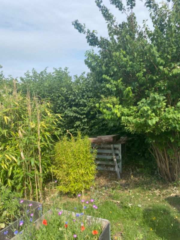 Klippet/beskåret hhv. 24 meter bøgehæk samt 18 meter liguster hæk