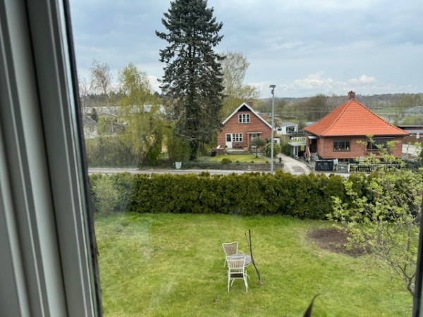 En ca. 15 m lang thuja hæk bør beskæres med ca. 1 m (i højden).