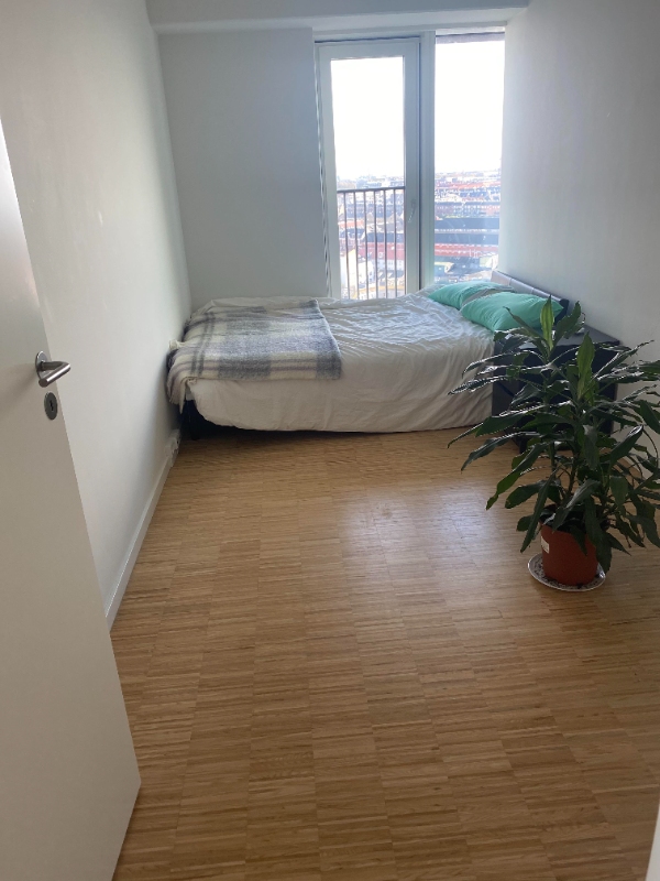 Rengøring Fredag den 1. deceber 3 timer 1000 kr. imelle kl 10 og 14