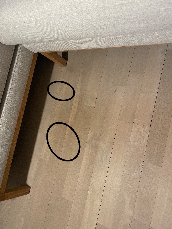 reparation af trægulv