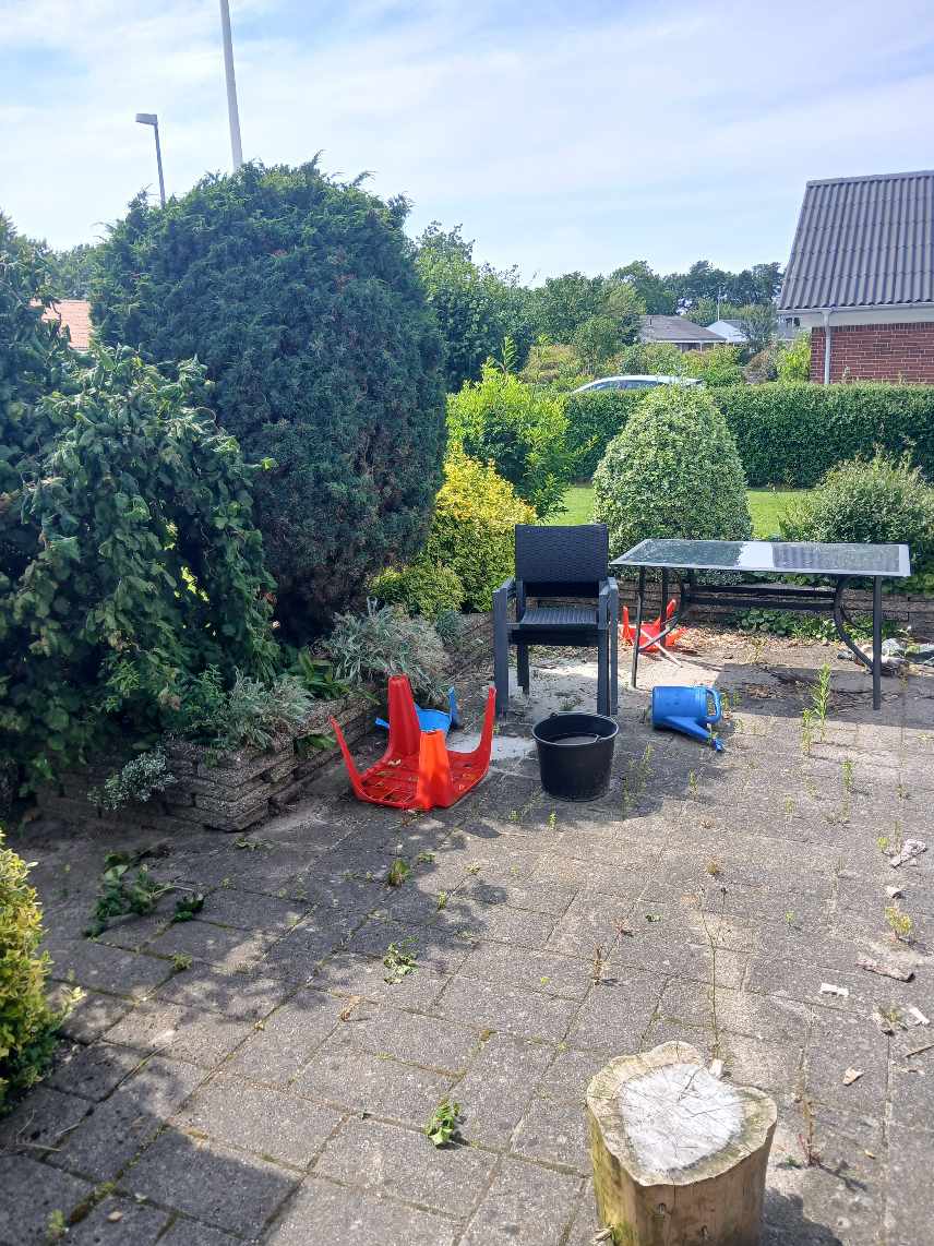 Fjerne højbed, fliser og buske/træer