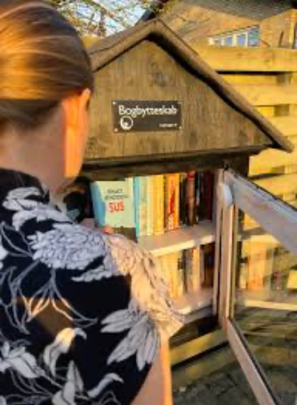 Kan du bygge et bogbytteskab? 