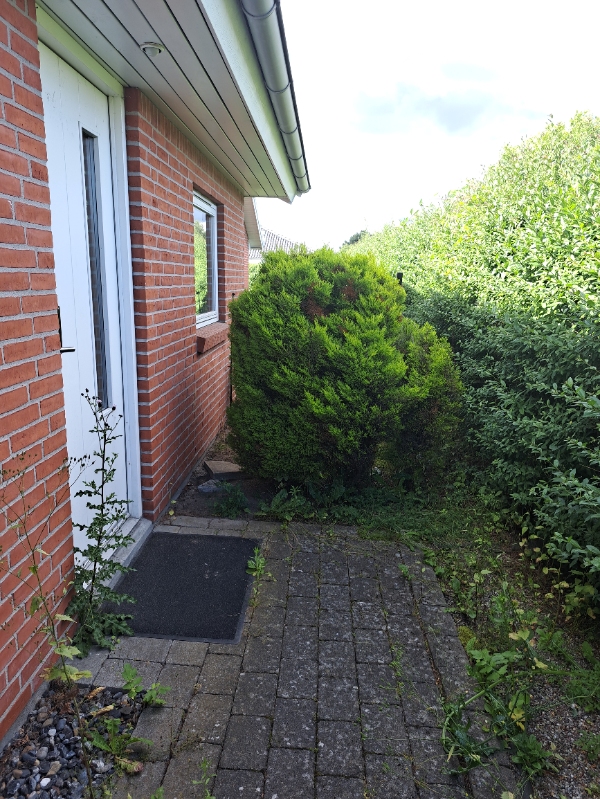 Hækklipning og bortskaffelse