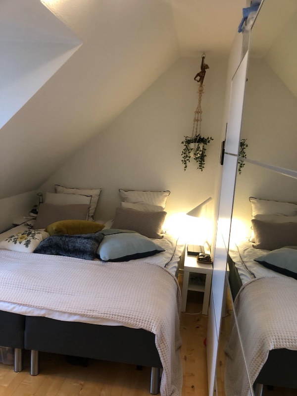 Maling af vægge og lofter