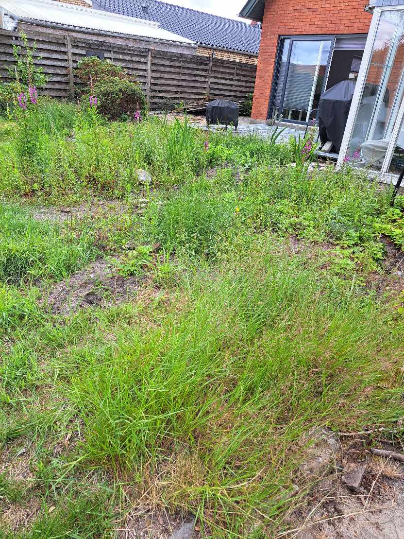 Fjerne ukrudt og rødder