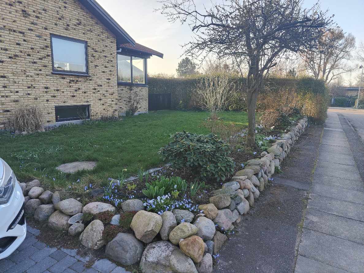 Forårsklargøring af have