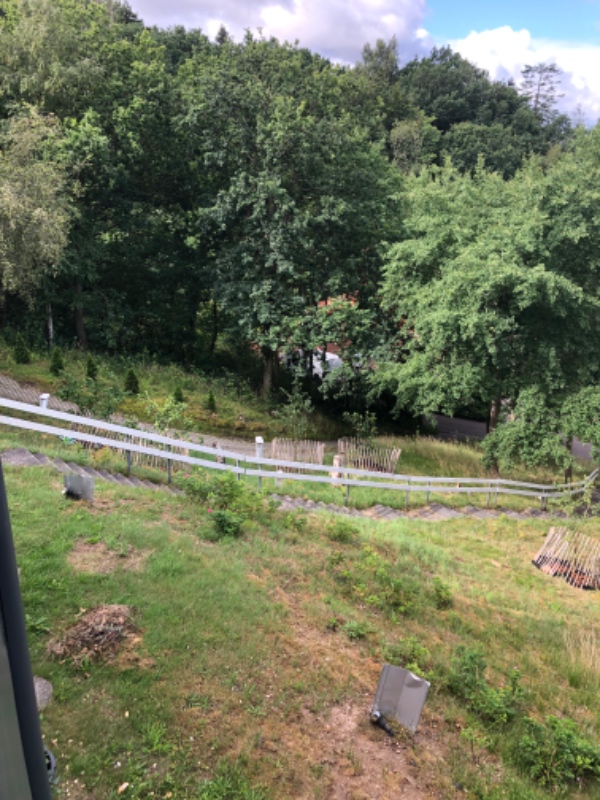 Vi ønsker en løbende aftale hver 5. uge om slåning af naturgrund