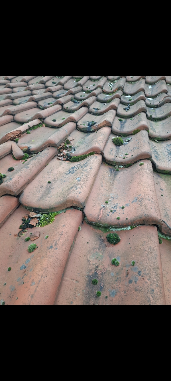 Udskiftning af 3-4 tagsten. Kan nås med stige.