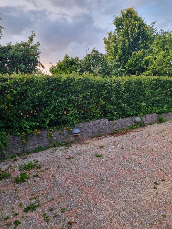 Hækklipning og ukrudtsfjernelse