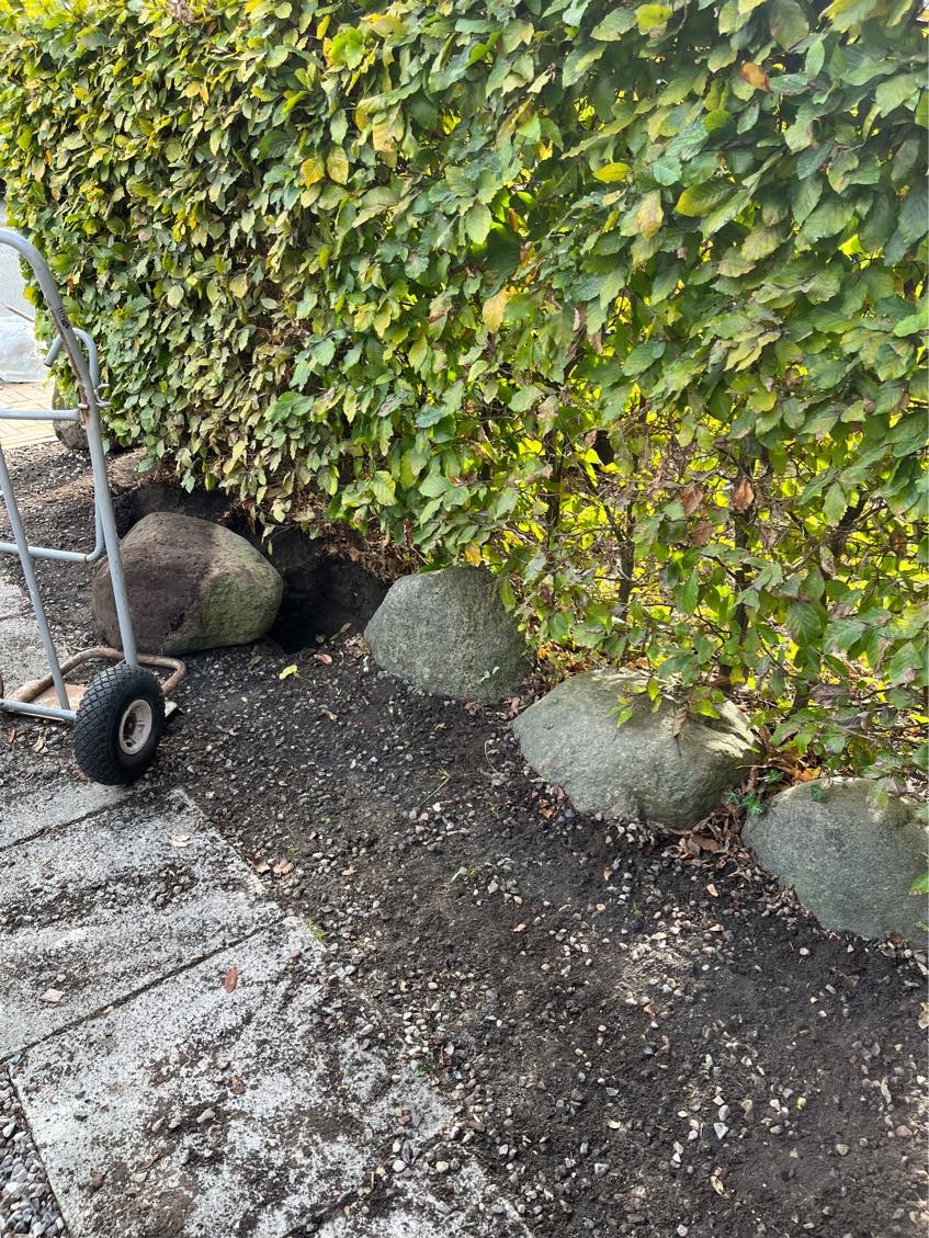 På lossepladsen med 10 kampesten